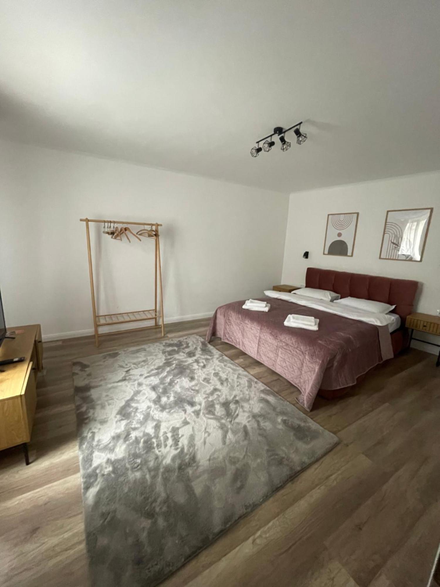 布拉索夫Casa Puscariu公寓 外观 照片