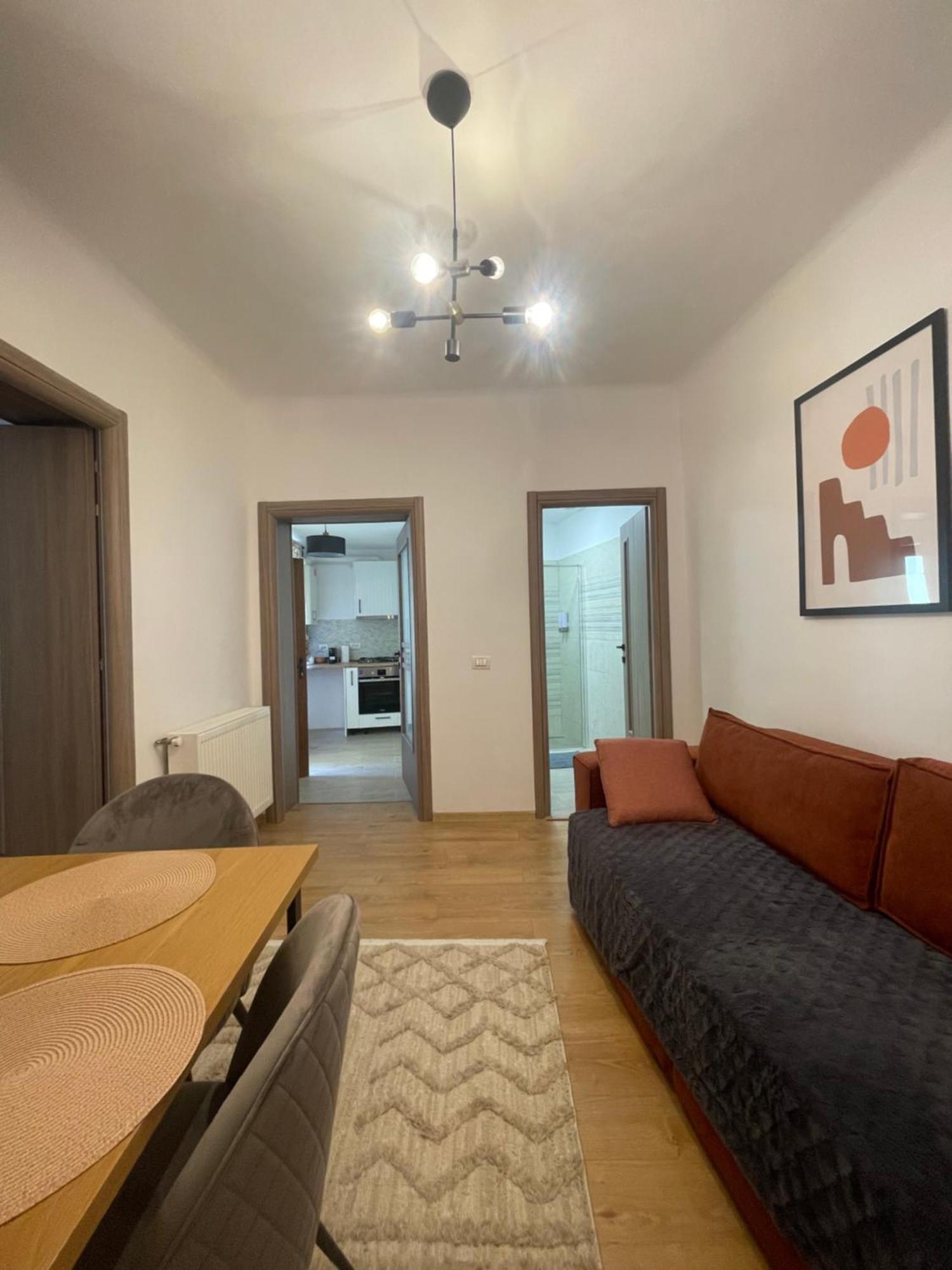 布拉索夫Casa Puscariu公寓 外观 照片